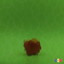 Cathédrale Aqua Vert 61x122cm