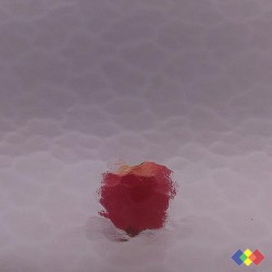 Cathédrale Aqua Pourpre...