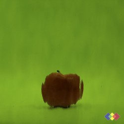 SP Waterglass 526-2W-F vert...