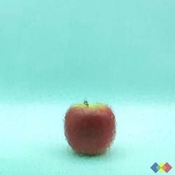 W96 Transparent 96-50 vert...