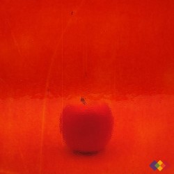 W96 Transparent 96-51...