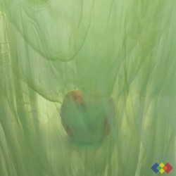 SP Wispy 329-1S-F vert...