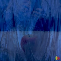 SP Wispy 838-96S-F bleu...