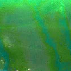 W Double Rolled 343 IRID...