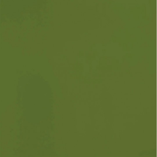 vert olive foncÃ© opaque uni