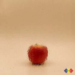 W Double Rolled 568 rose...