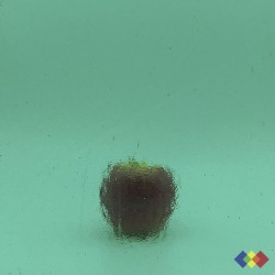 W Double Rolled 65...