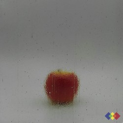 W Double Rolled 555 gris...