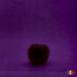 W Double Rolled 311-V...