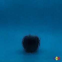 W Double Rolled 342 bleu...