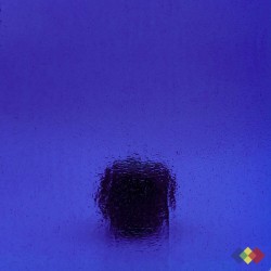 W Double Rolled X bleu...