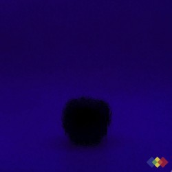 W Double Rolled 220 bleu...