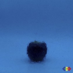 W Double Rolled 341 bleu...