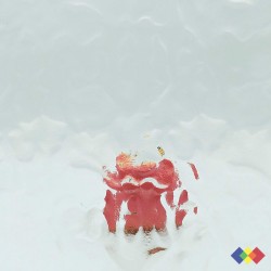 W Flemish 01 clair 82x107cm