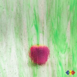 W Streaky 163-LL pourpre et...