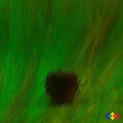 W Streaky 245-LL ambre...