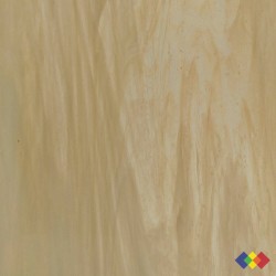 W Wisspy WO-567 champagne...