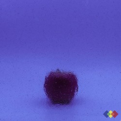 W96 Transparent 96-16 bleu...