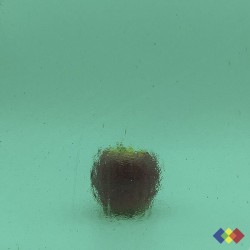W96 Transparent 96-18 vert...