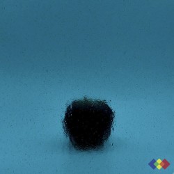 W96 Transparent 96-19 bleu...