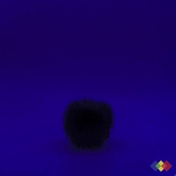 W96 Transparent 96-20 bleu...