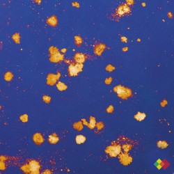 Miroir décoratif "Polvere...