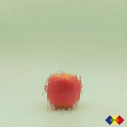 W Double Rolled 195 vert...