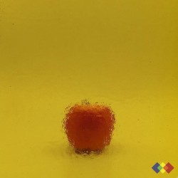 W Double Rolled 47 ambre...