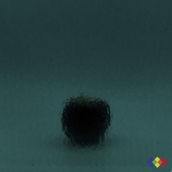 W Double Rolled 364 vert...