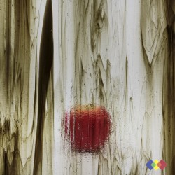 W Streaky 503-LL marron et...