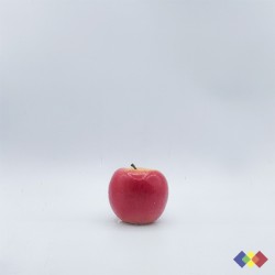 SP 100S-ICE-2MM-F clair 2mm...