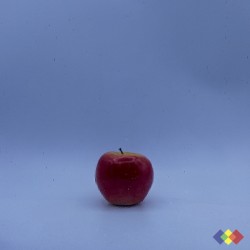 SP Transparent 130-8S-F...
