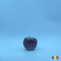 SP Transparent 533-1S-F...