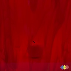 SP Wispy 359-1S-F rouge...