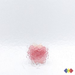 Cathédrale Antik 100 (1-0)...