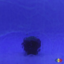 Cathédrale Antik 1360 (3-6)...